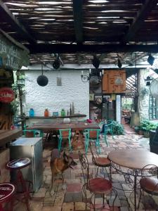 Jungle Lodge CANCUN AEROPUERTO