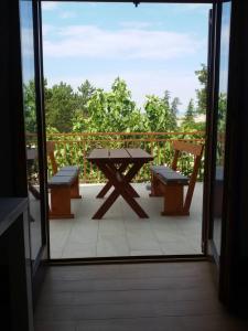 New, sunny apartment surrounded by nature
