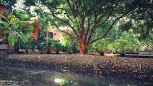 夜功府瓦拉科恩班苏安民宿 - 佛统