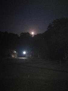 Hidden Jungle Village