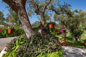 Maria Studios Zakynthos Greece