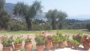 Bella Vista Corfu Greece