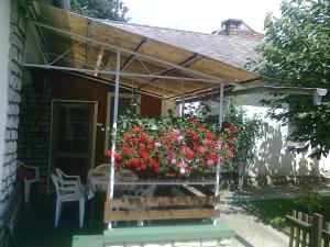 Berci Villa