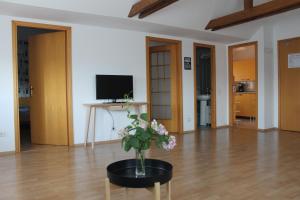 News Apartment