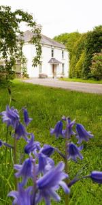 obrázek - Ballyhenry House and Apartments