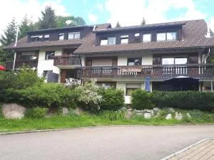 Haus Heidelberg - Feldberg