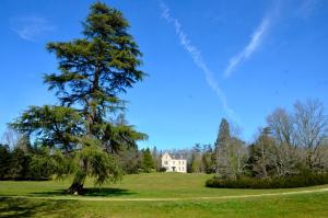 B&B / Chambres d'hotes Chateau La Thuiliere : photos des chambres