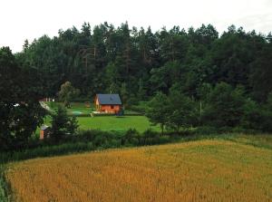 Domek Skowronek z basenem