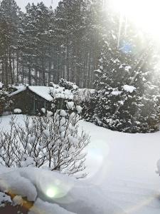 Domek Letniskowy na Kaszubach lub Apartament z Kominkiem