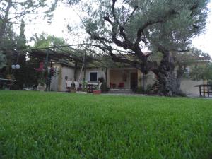 TheNi Olive Grove Villa