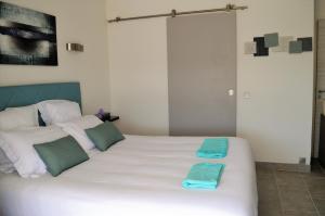 B&B / Chambres d'hotes Villa La Terre Des Lauriers : photos des chambres