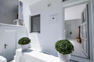 Arktos White Apartments Myconos Greece