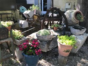 Hotels Logis Hotel Restaurant Hostellerie de la Tour : photos des chambres