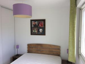 Appartements Les Terrasses du Lac L58 : photos des chambres
