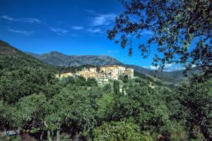 Maisons d'hotes A Ghjuvellina : photos des chambres