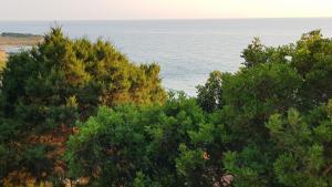 Appartamento Con Splendida Vista Mare img40