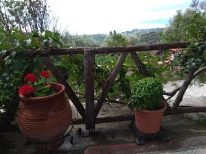 Pelion Zervochia Pelion Greece