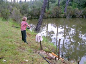 Chalets Cuckoo Lake Forest Cabin : photos des chambres