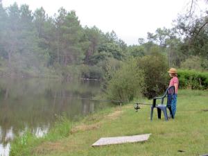 Chalets Cuckoo Lake Forest Cabin : photos des chambres