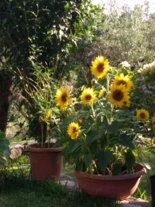Volidiera Guesthouse Kefalloniá Greece