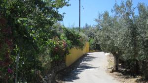 Trizinia View Poros-Island Greece