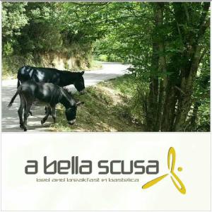 B&B / Chambres d'hotes A Bella Scusa : photos des chambres