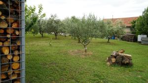 Apartment Talir