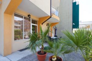 Guest House Plechkarovi
