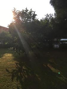 Bed and Breakfast Bio Salix