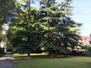 Bed and Breakfast Bio Salix