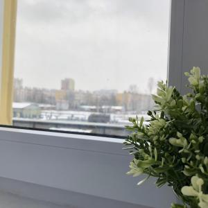 Kwadrat Apartamenty Grottgera