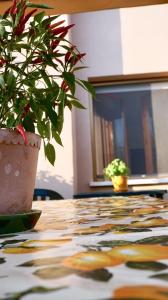 Residenza "il Cacao"