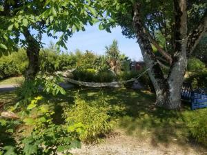 Le Domaine de Saint-Thomin photo 18