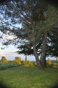 B&B / Chambres d'hotes Les loups dans la bergerie : Chambre Deluxe (2 Adultes + 1 Enfant)