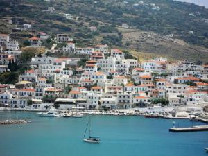 Blue Dolphin Andros Greece