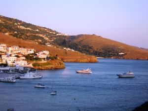 Blue Dolphin Andros Greece