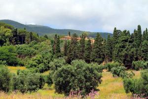 Agriturismo Pimpinnacolo