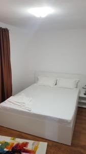 Casa Andrei Techirghiol