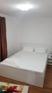 Casa Andrei Techirghiol - 泰基尔吉奥尔