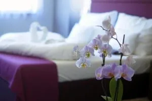 Hotel Fitromax Ajka - Bakonyjákó