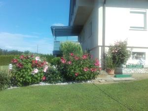 DAHOAM by Fam. FRANZ