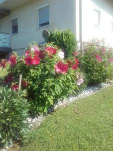 DAHOAM by Fam. FRANZ