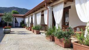 NIOLEO - Apartments and Pool img35