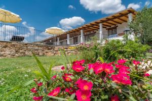 NIOLEO - Apartments and Pool img14