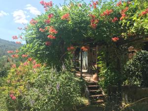 Maisons d'hotes Gites du Raby : photos des chambres