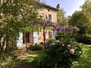 B&B / Chambres d'hotes Chateau de Cartou : photos des chambres