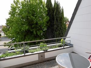 Apartment Möwe