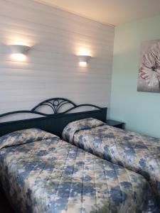 Hotels Hotel de France Contres-Beauval-Cheverny : Chambre Lits Jumeaux
