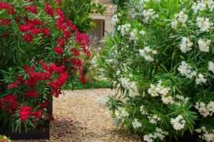 Appart'hotels Domaine du Mas Foucray : photos des chambres