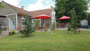 Home Tara